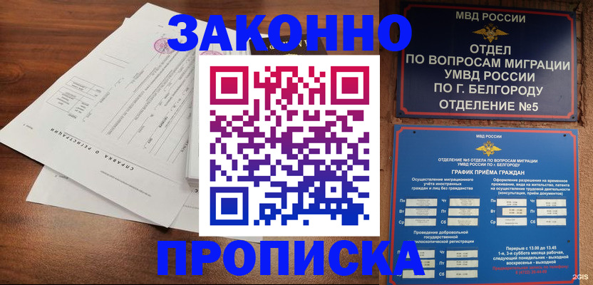 прописка в Козельске